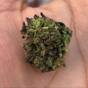 Meet your Posher, Rudy